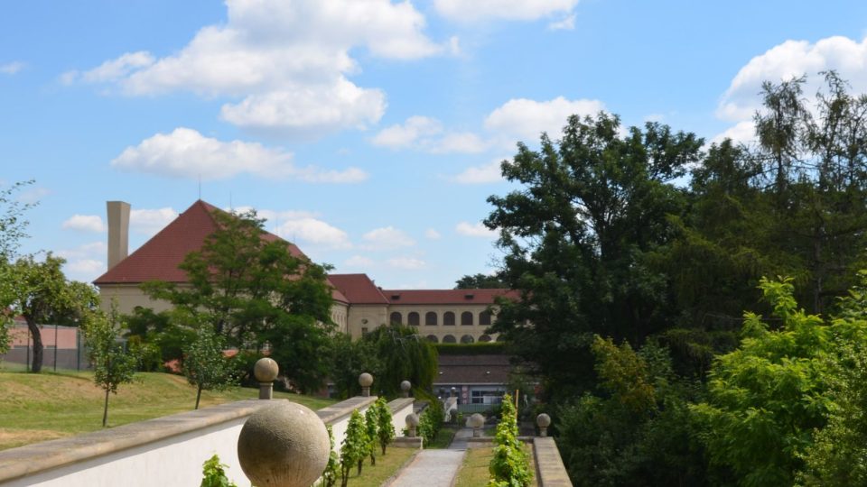 Malá vinička se nachází i pod Masarykovou vyhlídkou na Pražském hradě
