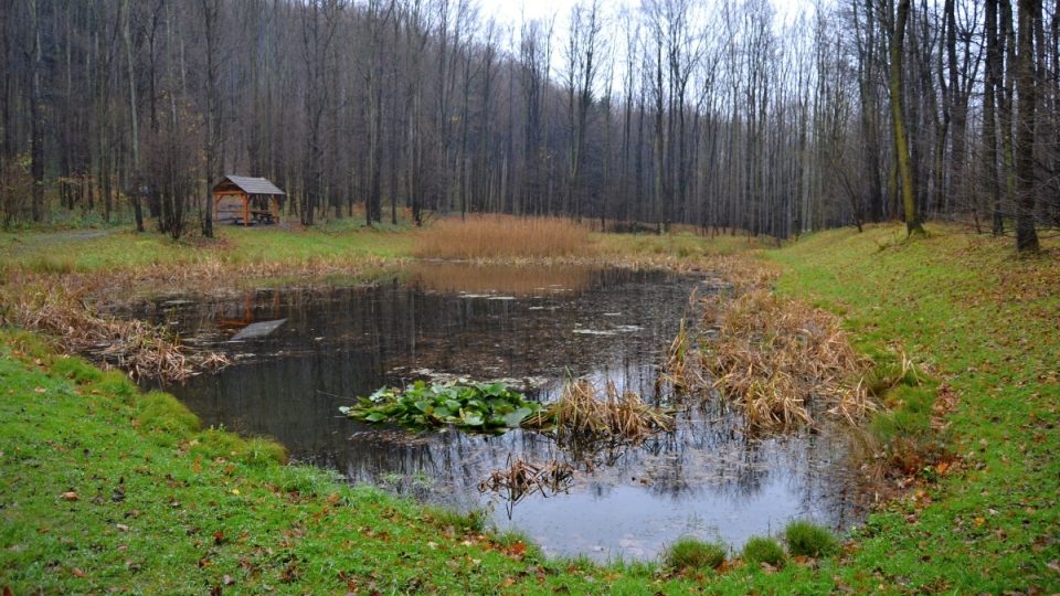 Pohled na hradní rybník