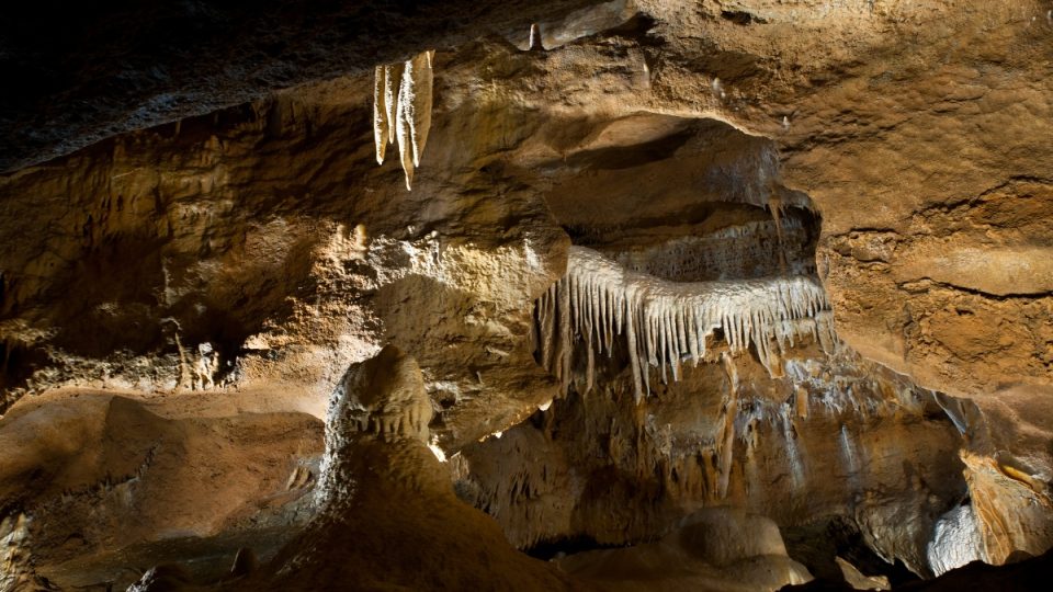 Koněpruské jeskyně - Varhany