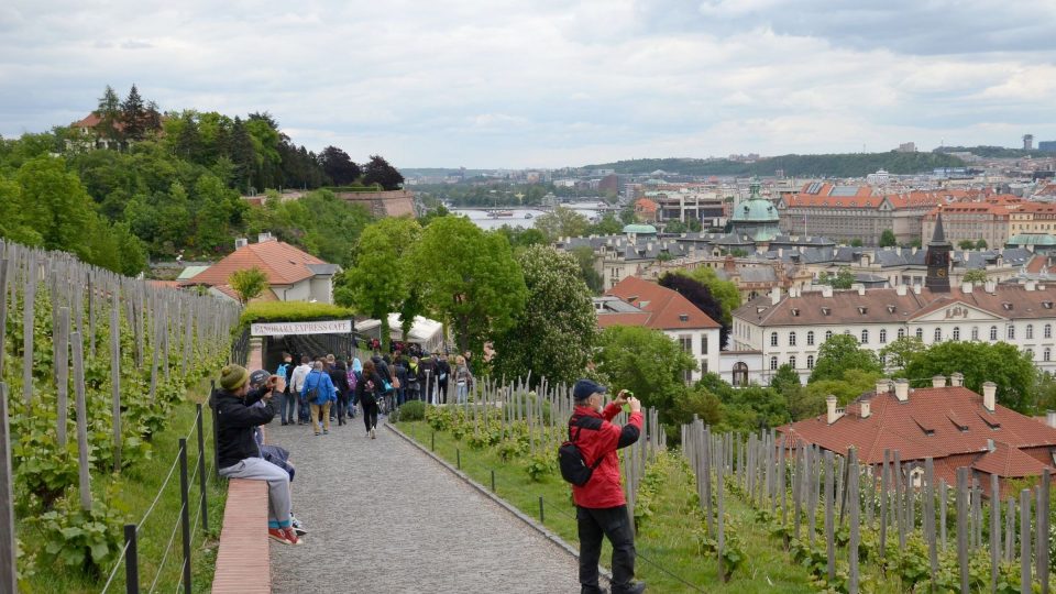 Svatováclavská vinice je častým cílem fotografů, kteří míří na historické jádro města