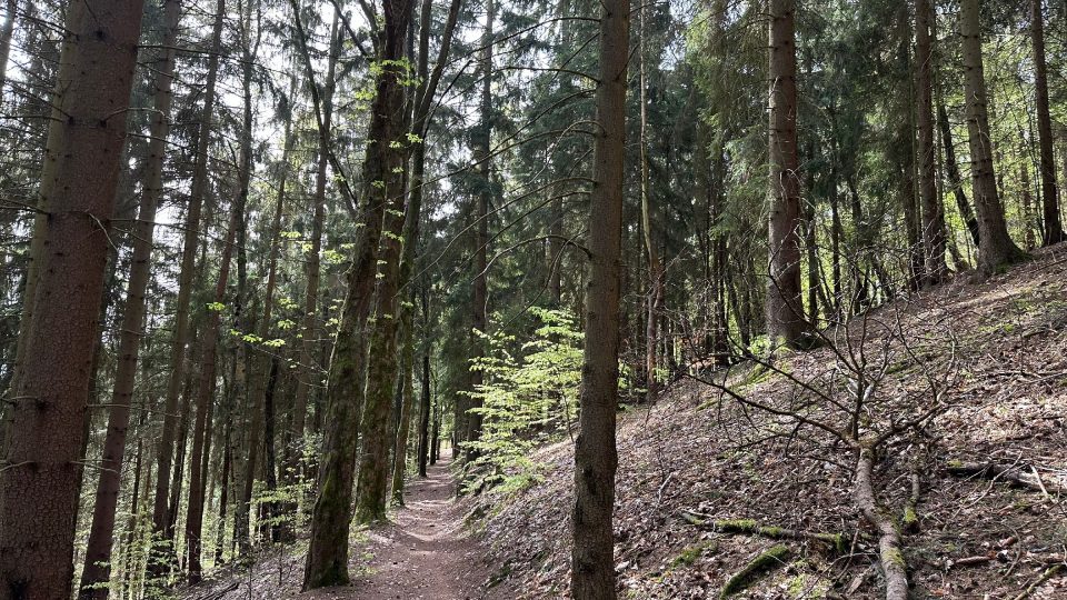 Mlýnské údolí je oblast mezi Jáchymovem a Horním Žďárem na Karlovarsku