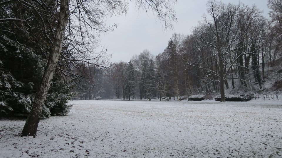 Levý břeh Tiché Orlice má podobu parku