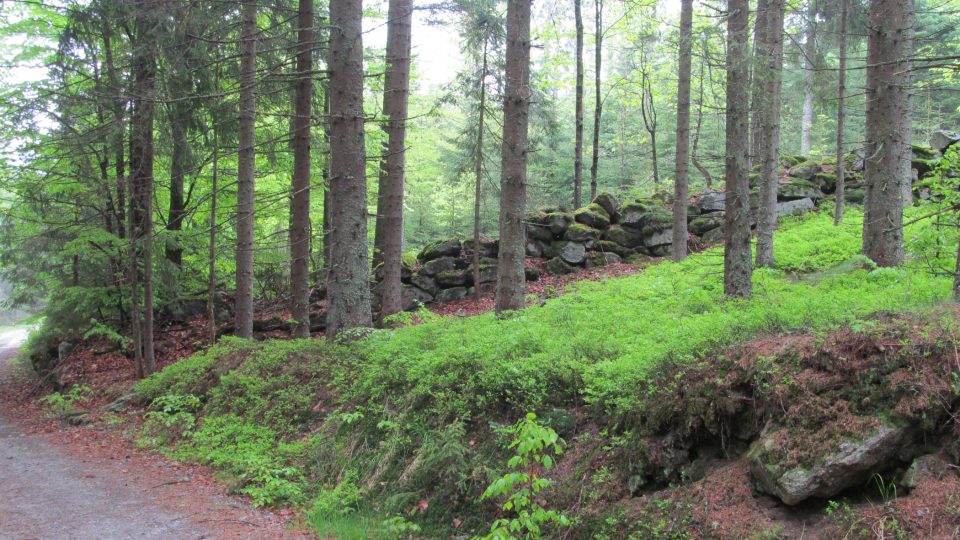 Cestou do kopce míjíte někdejší kamenné zdi oddělující pozemky původních obyvatel snad ještě z doby Keltů