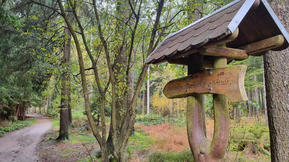 Od Tří Studní vede ke studánkám značená cesta