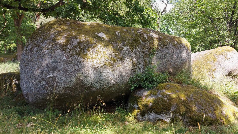 Na mnoha místech Petrovicka v přírodě najdete množství volně ležících žulových kamenů