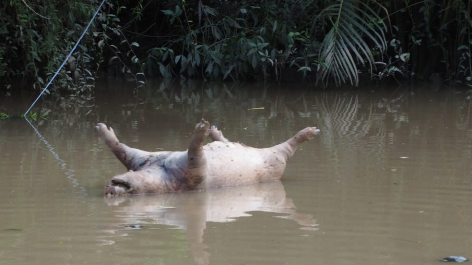 Na cestách s "Vietnamistou" Zdeňkem Porkertem