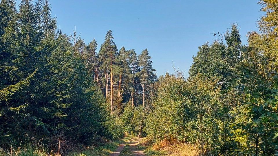 Po zelené turistické stezce mezi Jinolickými rybníky