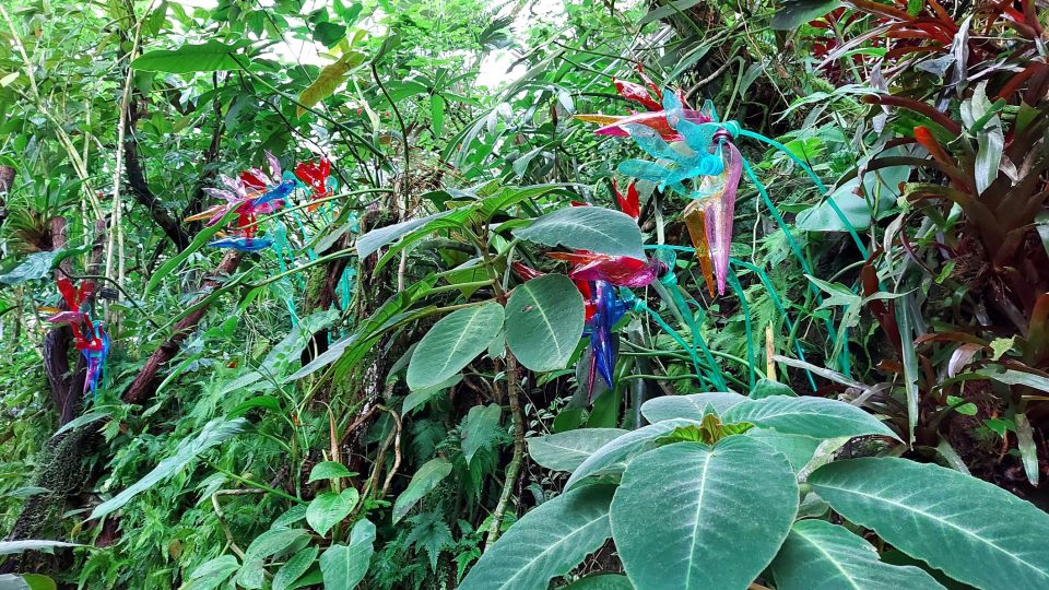 Autorka se inspirovala převážně tropickou flórou