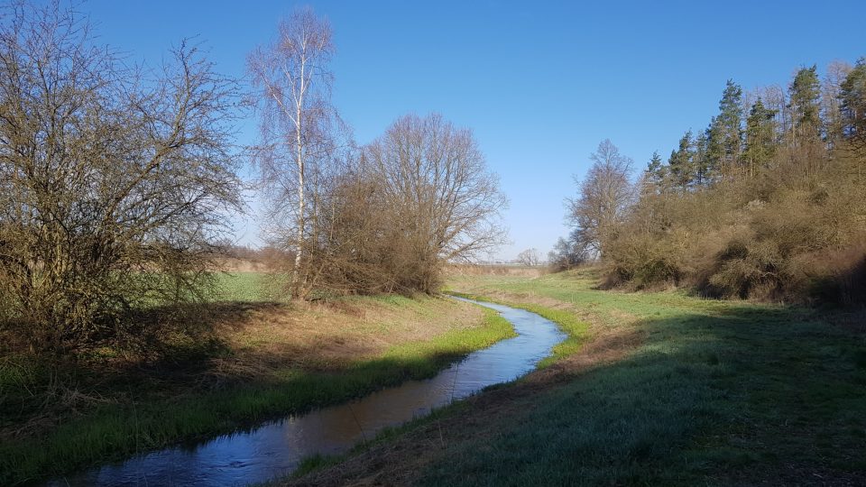 Březový potok