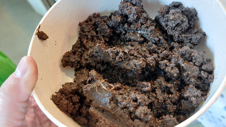 Humus z vermikompostéru je třeba smíchat se substrátem