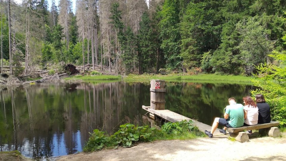 Turisté u Boubínského jezírka