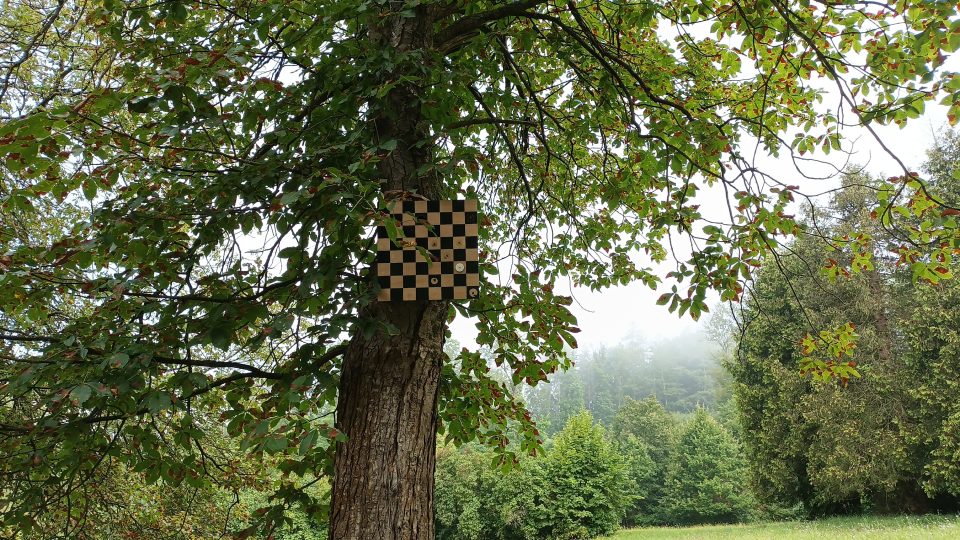 Na jednom ze stromů narazíte na budku v podobě šachovnice