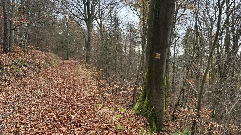 K vyhlídce vede žlutá turistická značka | foto: Jana Strejčková, Český rozhlas K vyhlídce vede žlutá turistická značka