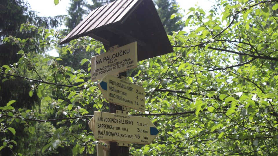 Modrá turistická trasa, která vede kaňonem do lázeňské obce Karlova Studánky, měří asi 5,5 kilometru