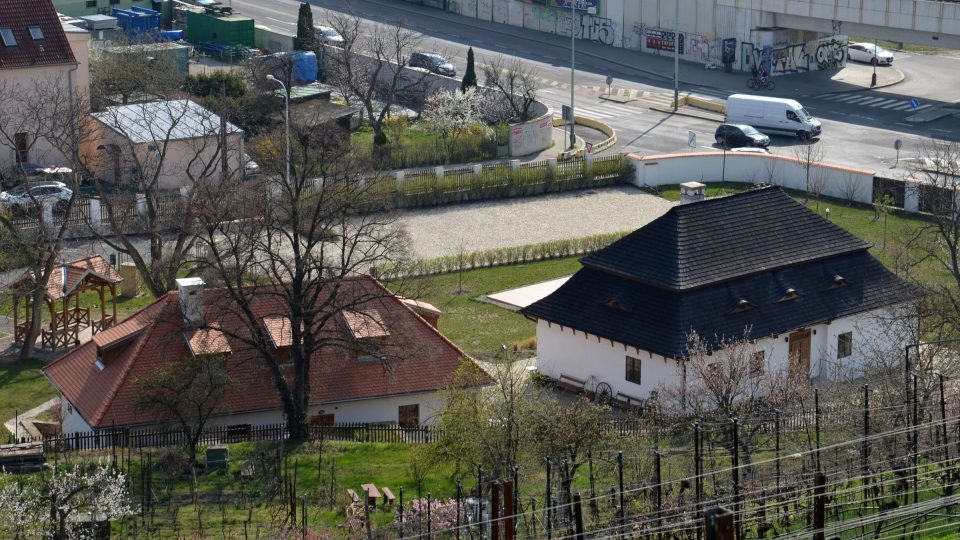 Modřanskou vinici původně z 12. století obhospodařují členové Českého zahrádkářského svazu