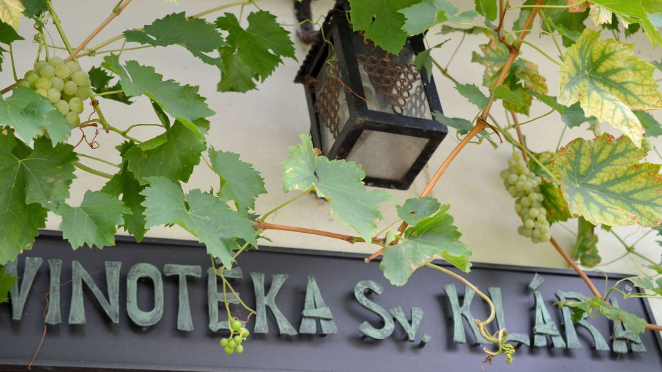 Vinotéka svaté Kláry v trojské botanické zahradě