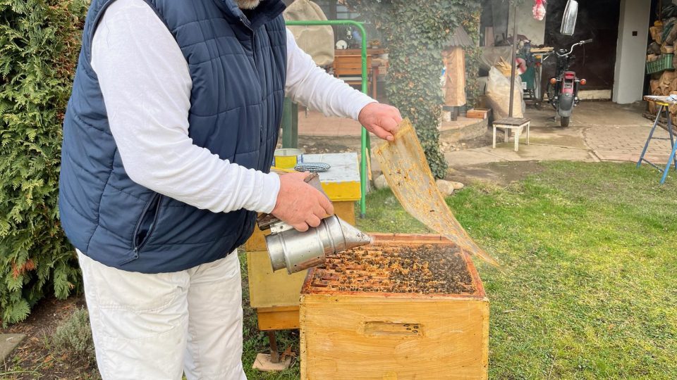Pardubický včelař Evžen Báchor upozorňuje včely, že se chystá na první předjarní zaléčení