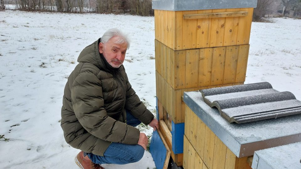 Jiří Čada otevírá prosklenou část ukázkového úlu