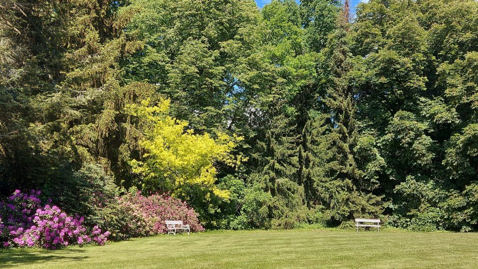 Louka v Relax parku je lemovaná okrasnými keři i vysokými stromy, které dodávají pocit soukromí