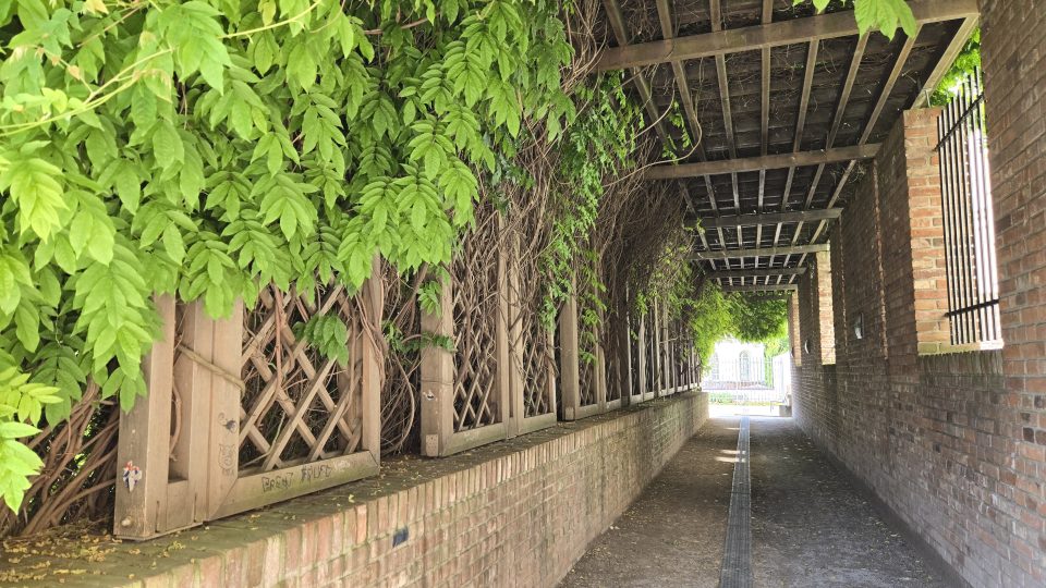 Na Jižních terasách je i tento působivý průchod | foto: Vladislava Wildová, Český rozhlas Na Jižních terasách je i tento působivý průchod