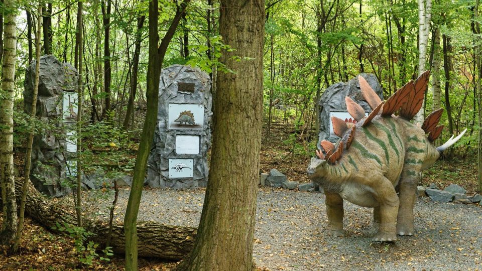 Dinověda na panelech ukazuje, jak postupoval vývoj poznání druhu Stegosaurus. První odhady jeho podoby byly značně odlišné od těch současných | foto: Zdeněk Truhlář, Český rozhlas Dinověda na panelech ukazuje, jak postupoval vývoj poznání druhu Stegosaurus. První odhady jeho podoby byly značně odlišné od těch současných