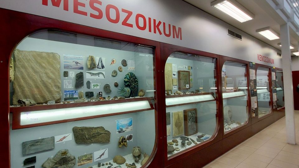 Mesozoikum je geologické období přibližně před 252 až 66 miliony let, dělí se na tři periody: trias, jura a křída