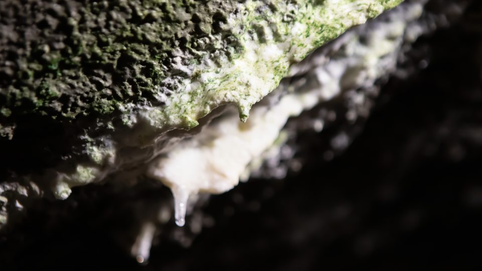 Vlhké chodby umožňují růst krápníků | foto: Vít Hrdlička, Český rozhlas Vlhké chodby umožňují růst krápníků