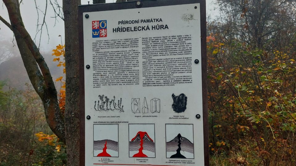 Přírodní památka Hřídelecká hůra