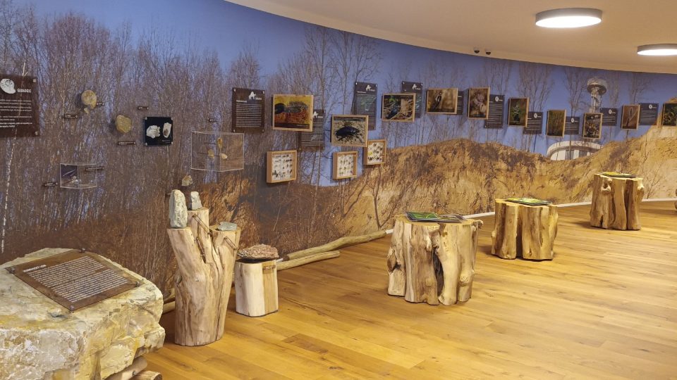 Galerie poodkrývá fascinující svět přírody v Kurovickém lomu | foto: Silvie Pospíšilová, Český rozhlas Galerie poodkrývá fascinující svět přírody v Kurovickém lomu