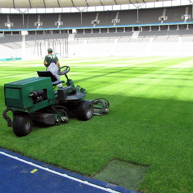 Špičkové hrací plochy jvyžadují každodenní údržbu. Bez hnojení nebo závlahy se trávníky neobejdou. | foto: Jiří Hošek