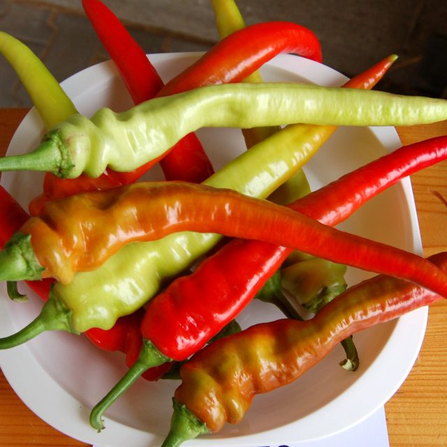 Paprika Ohnivec | foto: Ivan Dvořák
