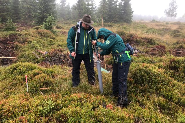 V našich nejvyšších horách vzniklo už na tisíc přehrážek a přepážek pro zadržení vody v krajině | foto: Kateřina Kohoutová,  Český rozhlas