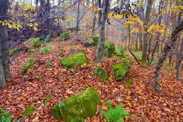 Sklepiska,  zbytky valu | foto: Zdeněk Urbanovský,  Český rozhlas