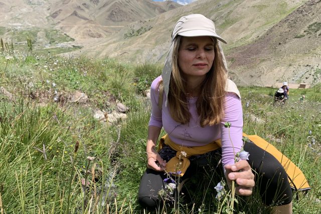 Radka Svatošová na bylinkách v Indii | foto: Radka Svatošová